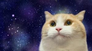 蘭の写メ日記｜セグレターリオ 吉原高級店ソープ