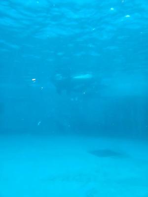 水瀬ゆきの写メ日記｜セグレターリオ 吉原高級店ソープ