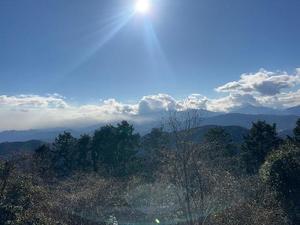 さくらの写メ日記｜セグレターリオ 吉原高級店ソープ