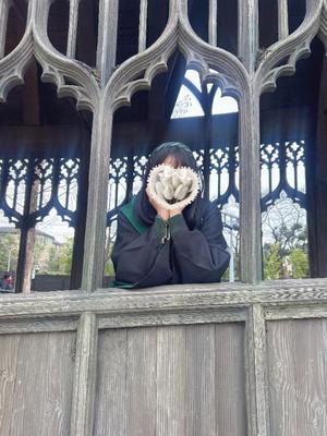 木之本　かすみの写メ日記｜シェルクラブ・ウエスト 吉原高級店ソープ