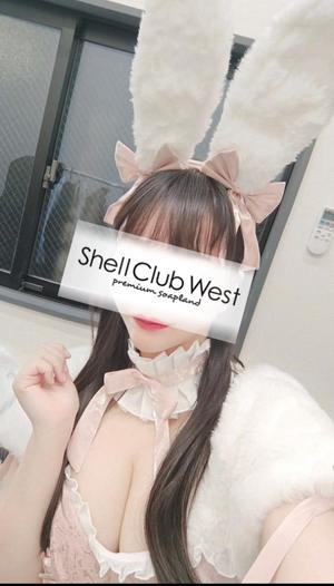 前田　あおいの写メ日記｜シェルクラブ・ウエスト 吉原高級店ソープ