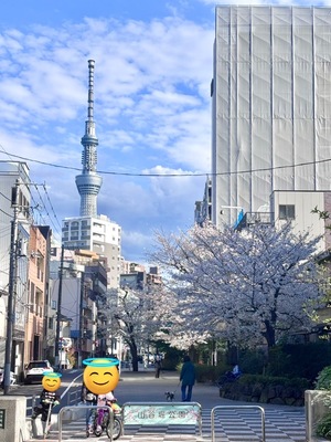 ねがうの写メ日記｜スカイ 吉原高級店ソープ