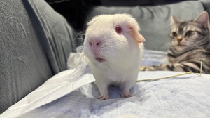 ねがうの写メ日記｜スカイ 吉原高級店ソープ