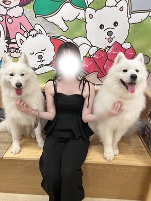おとの写メ日記｜スカイ 吉原高級店ソープ