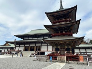 いおりの写メ日記｜スカイ 吉原高級店ソープ