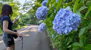 さあや☆の写メ日記｜粋美 吉原高級店ソープ