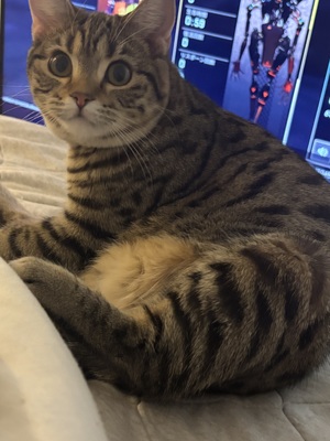 ありす☆の写メ日記｜粋美 吉原高級店ソープ