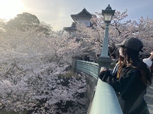 しおん☆の写メ日記｜粋美 吉原高級店ソープ