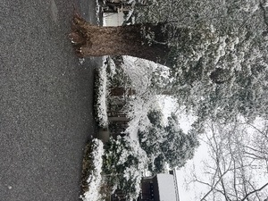 Renoの写メ日記｜リッチ～THE RICH～ 吉原高級店ソープ