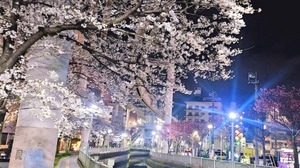 Ayameの写メ日記｜リッチ～THE RICH～ 吉原高級店ソープ