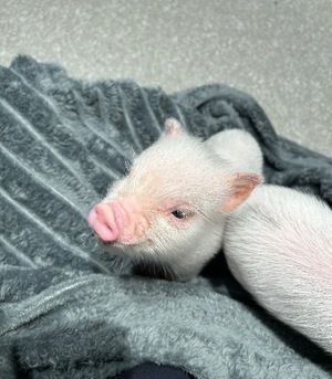 Rinの写メ日記｜リッチ～THE RICH～ 吉原高級店ソープ