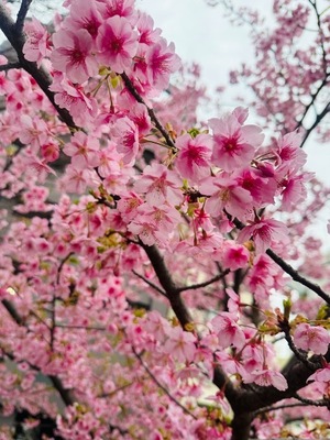 Rinの写メ日記｜リッチ～THE RICH～ 吉原高級店ソープ