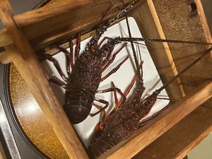 Ainoの写メ日記｜リッチ～THE RICH～ 吉原高級店ソープ