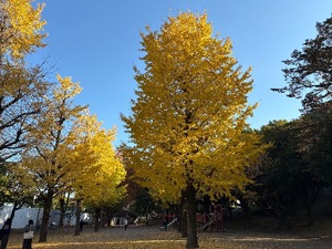 Amuの写メ日記｜リッチ～THE RICH～ 吉原高級店ソープ