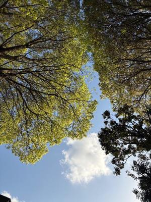 Amuの写メ日記｜リッチ～THE RICH～ 吉原高級店ソープ