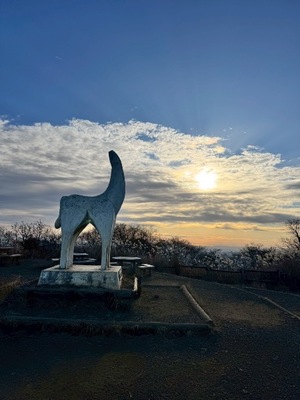 Hibikiの写メ日記｜リッチ～THE RICH～ 吉原高級店ソープ