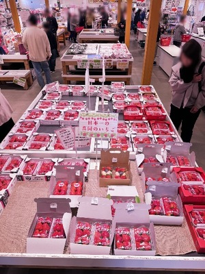 Hibikiの写メ日記｜リッチ～THE RICH～ 吉原高級店ソープ