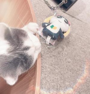 Keikaの写メ日記｜リッチ～THE RICH～ 千葉県・栄町高級店ソープ