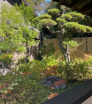 Suzunaの写メ日記｜リッチ～THE RICH～ 千葉県・栄町高級店ソープ