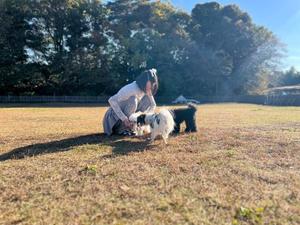 未来の写メ日記｜ティアラ 吉原高級店ソープ