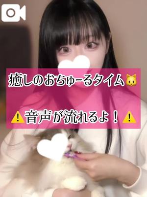 ゆづきの写メ日記｜TOKYO BUNNYS CLUB 吉原高級店ソープ