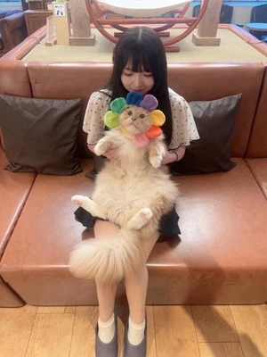 みわの写メ日記｜TOKYO BUNNYS CLUB 吉原高級店ソープ