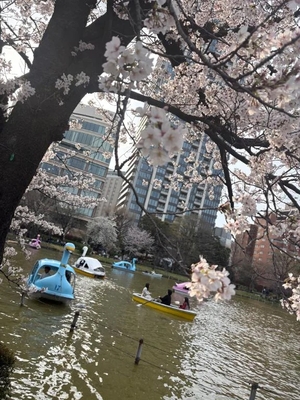 もかの写メ日記｜TOKYO BUNNYS CLUB 吉原高級店ソープ