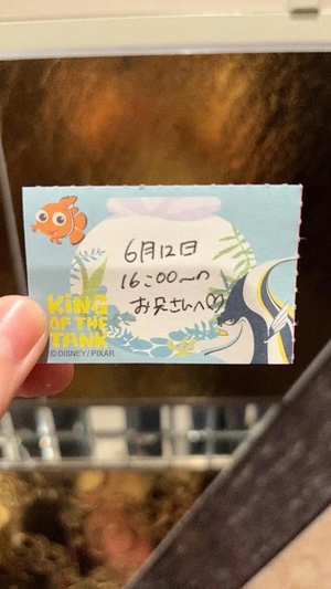ことりの写メ日記｜TOKYO BUNNYS CLUB 吉原高級店ソープ