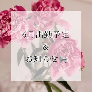 みなみの写メ日記｜ヴェルサイユ 吉原高級店ソープ