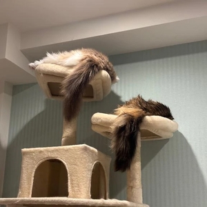 かりんの写メ日記｜ヴェルサイユ 吉原高級店ソープ