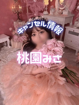 桃園みさの写メ日記｜ヴェルサイユ 吉原高級店ソープ