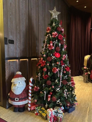 あんの写メ日記｜ヴェルサイユ 吉原高級店ソープ