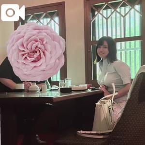 もえの写メ日記｜ヴェルサイユ 吉原高級店ソープ