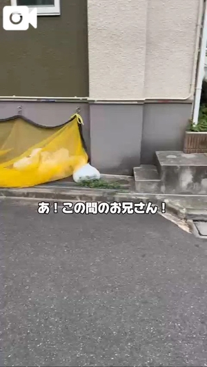 もえの写メ日記｜ヴェルサイユ 吉原高級店ソープ