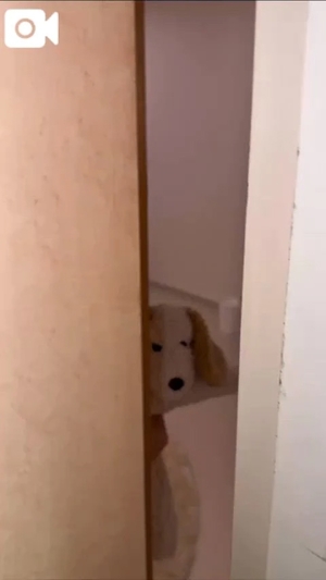 もえの写メ日記｜ヴェルサイユ 吉原高級店ソープ