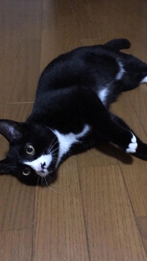 ゆいなの写メ日記｜ヴェルサイユ 吉原高級店ソープ