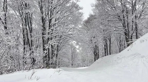 かすみの写メ日記｜ヴェルサイユ 吉原高級店ソープ