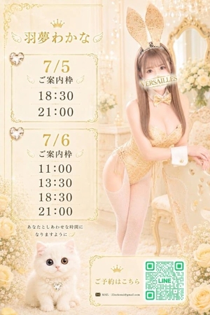 羽夢(はむ)わかなの写メ日記|ヴェルサイユ 吉原高級店ソープ