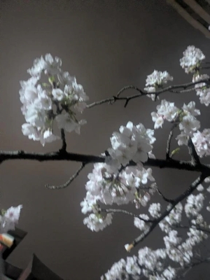 るるの写メ日記｜ヴェルサイユ 吉原高級店ソープ