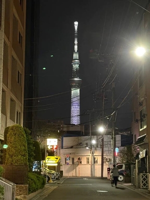 咲良の写メ日記｜ヴェルサイユ 吉原高級店ソープ