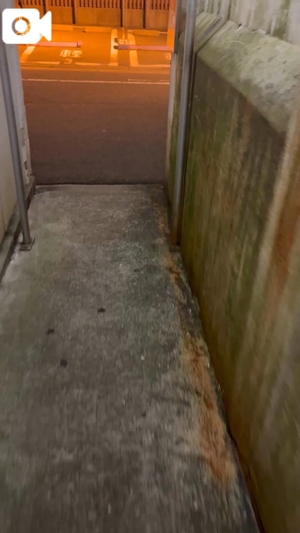 咲良の写メ日記｜ヴェルサイユ 吉原高級店ソープ