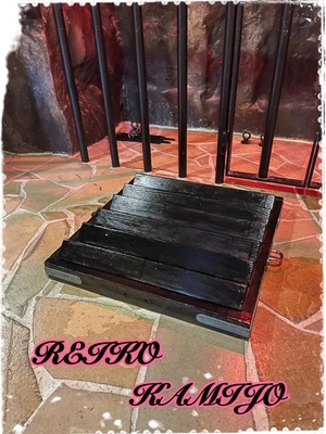 神城麗子の写メ日記｜鹿鳴館 吉原高級店ソープ