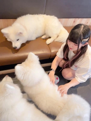 かんなの写メ日記｜鹿鳴館 吉原高級店ソープ