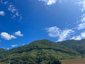 如月しいなの写メ日記｜鹿鳴館 吉原高級店ソープ