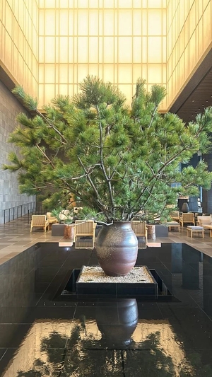 まこの写メ日記｜鹿鳴館 吉原高級店ソープ