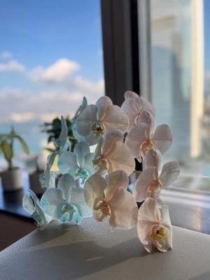 市来の写メ日記｜鹿鳴館 吉原高級店ソープ