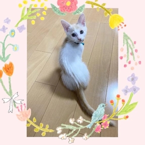 工藤なつきの写メ日記｜鹿鳴館 吉原高級店ソープ