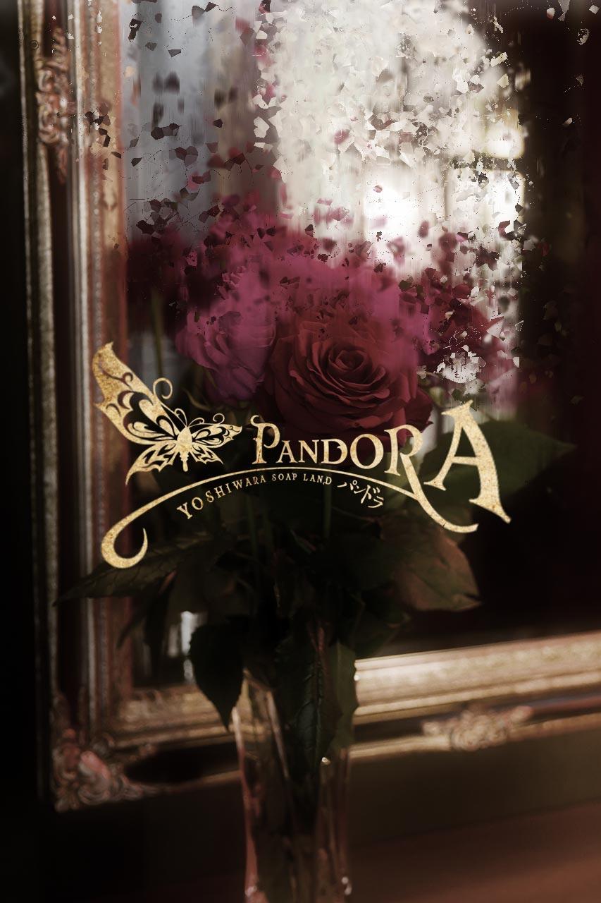 長谷川｜パンドラ 吉原高級店ソープ